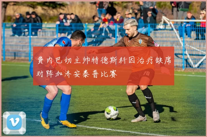 费内巴切主帅特德斯科因治疗缺席对阵加济安泰普比赛